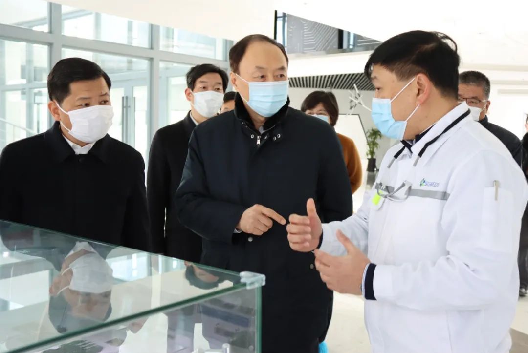 常州市副市长杨芬及我区领导狄志强,俞金红,董龙庆