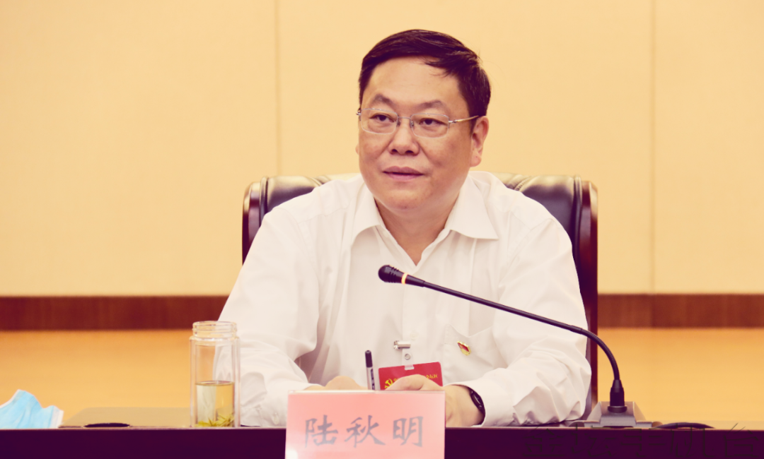 陆秋明在参加第一代表团审议和讨论时指出,未来五年,我区要在常金同城