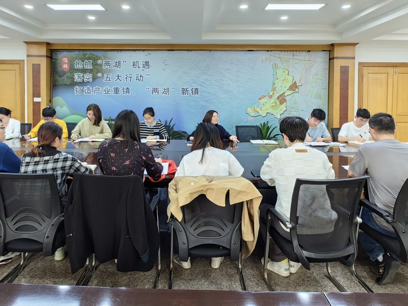 儒林镇：召开“儒林之声”乡村广播工作推进会