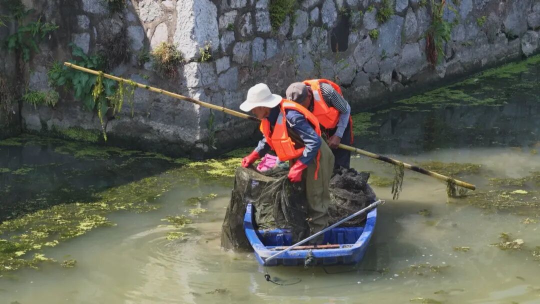 我区集中整治丹金溧漕河非法地笼